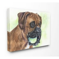 Boxer stuple Industries со топка кучиња миленичиња животински акварел сликарство супер платно wallидна уметност од Georgeорџ