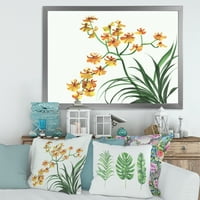 DesignArt 'Yellowолти гроздобер орхидеи на бело' традиционално врамен уметнички принт