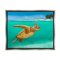Пливање желка подводни плажа животни и инсекти сликање сјај сиво врамен уметнички печатен wallид уметност