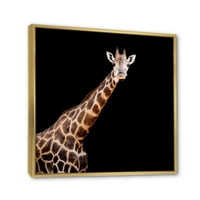 DesignArt 'Портрет на жирафа на црна позадина iii' фарма куќа врамена платно за печатење на wallидни уметности
