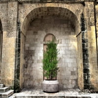 Италија, Бари, Апулија, Монополи Лак со кондензиран растенија во дворот во близина На Базиликата На Мадона дела Мадија Постер