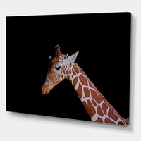Портрет на жирафа на црна позадина јас сликам платно уметнички принт